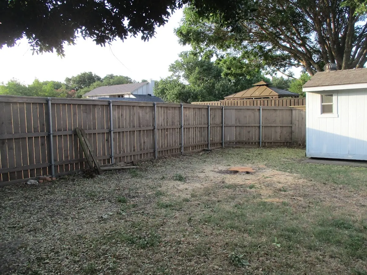 Cleared yard after professional tree removal in Colman